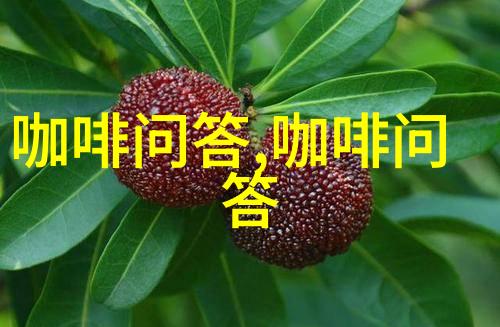 外国的小朋友多大开始喝咖啡